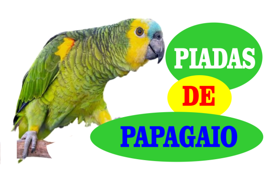 Piadas de papagaio 2